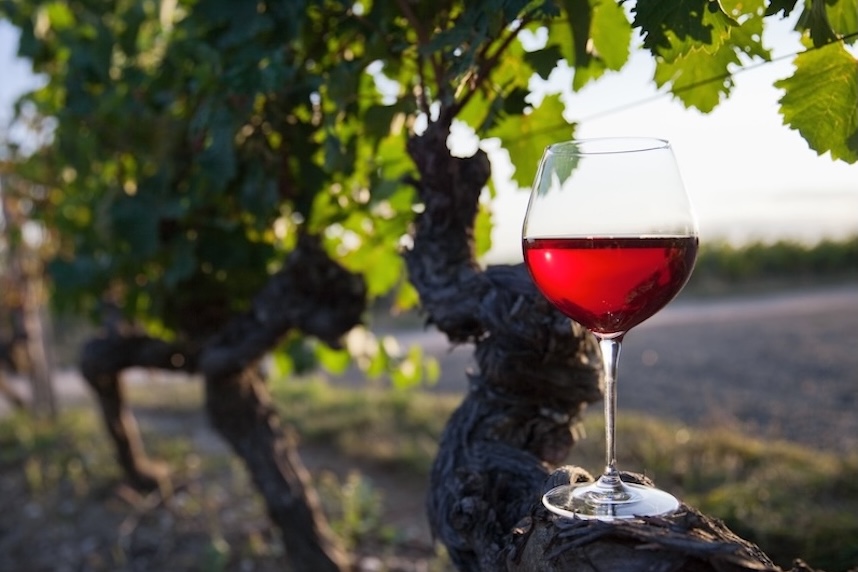 Die besten Kombinationen aus Wein und Schmorbraten: ein Leitfaden mit unseren Empfehlungen